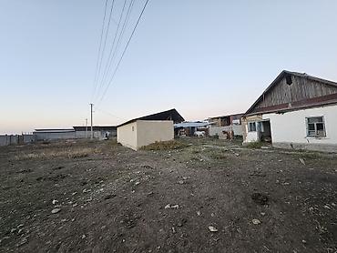 сары булун: Ижарага Ферма, 90 баш, 30 соток, Электр энергиясы, Ысык суу — 6