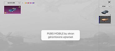 Другое: PUBG Mobile hesabında geniş kosmetik kolleksiya real alıcıya endirim — 10