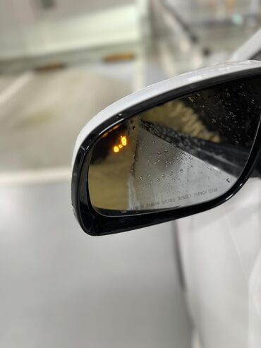 Kia: Kia Carnival: 2019 г., 2.2 л, Автомат, Дизель, Минивэн — 9