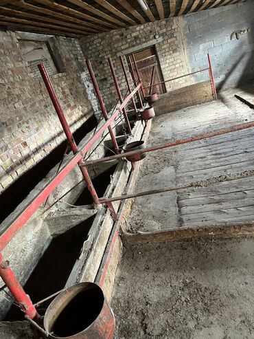 Другая коммерческая недвижимость: Сдаю Конюшню в перспективном районе для содержания лошадей и быков — 7