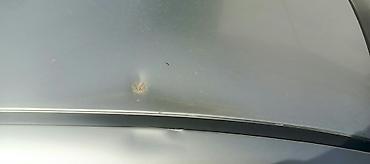 Toyota: Toyota Corolla: 2006 г., Механика, Седан — 3