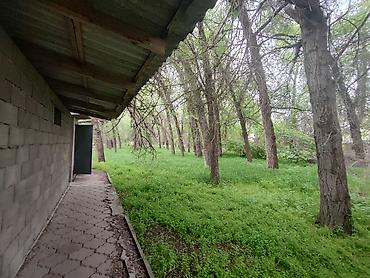 Помещение/площадка под сельхоз/склад в зелёной зоне по ул.А.Атинской