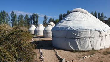 форма кыргызстан: Боз үйлөр сатылат, Каркасы Жыгач, 65 баш, Диаметри 5 метр