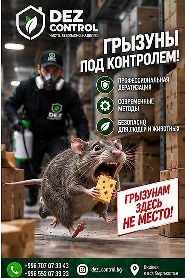 Дезинфекция, дезинсекция, | Мыши и крысы, | Кафе, магазины