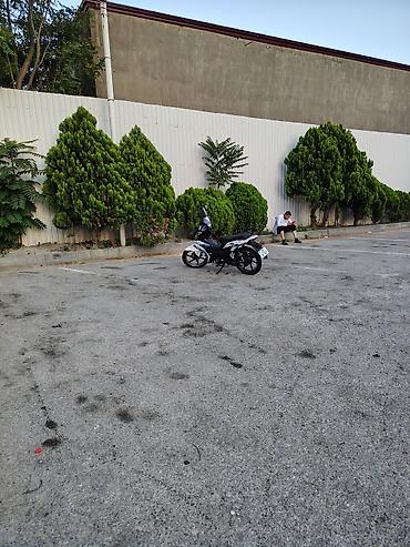 moped gunluk: Tufan - kub 50s, 80 sm3, 2024 il, 73500 km — 2