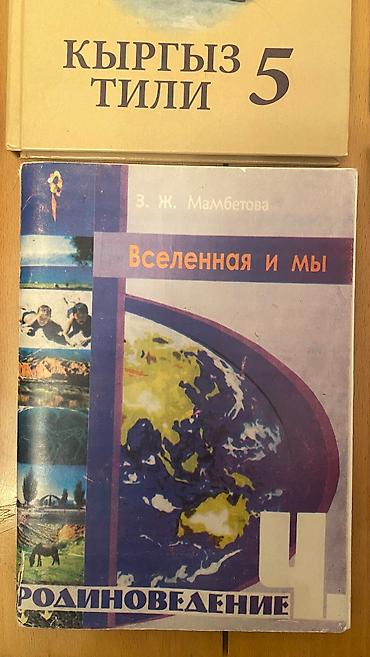 Другие учебники: !!!ВСЕ ПО 100!!! Книги для МЛАДШИХ 2-3-4-5 классов. Также готовый — 4