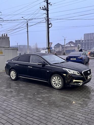 Hyundai: Hyundai Sonata: 2018 г., 2 л, Автомат, Гибрид, Седан — 3