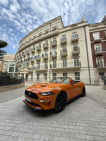 Nəqliyyat vasitəsinin icarəsi: Kia — 17