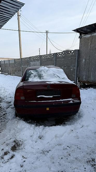 Volkswagen: Volkswagen Passat: 2000 г., Седан — 3