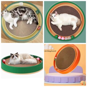 кошачий дом: Продаю игрушку/когтеточку/лежанку 3в1,с кошачей мятой,вашему котику