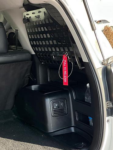 Toyota: Toyota 4Runner: 2020 г., Автомат, Бензин, Внедорожник — 9