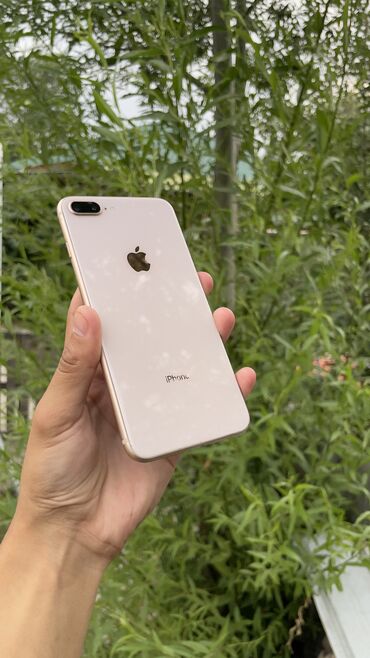 ddr 3 8gb цена: IPhone 8 Plus, Колдонулган, 64 ГБ, Matte Gold, Каптама, 100 %
