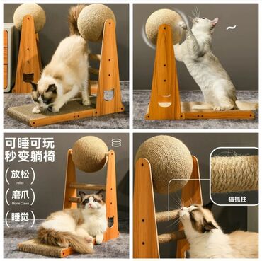 Товары и оборудование для с/х животных: Продаю новые в отличном качестве кошачие лотки крытые и открытые с — 9