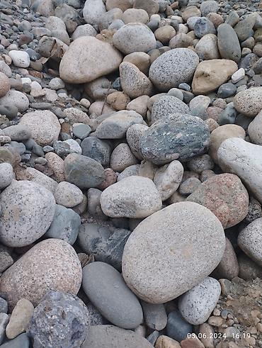 Услуги самосвала: Заказать Самосвал, Доставка щебня, угля, песка, чернозема, отсев — 6