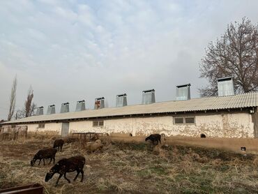 Продажа домов: Времянка, 400 м², 2 комнаты, Собственник — 9