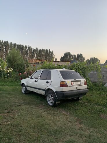 гольы: Volkswagen Golf GTI: 1990 г., 1.8 л, Механика, Бензин, Хэтчбэк