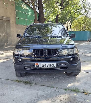 BMW: BMW X5: 2003 г., 3 л, Автомат, Дизель, Внедорожник — 5