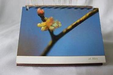 za kucu: STARI STONI KALENDAR SA IZREKAMA NA NEMAČKOM | Stari stoni kalendar — 10