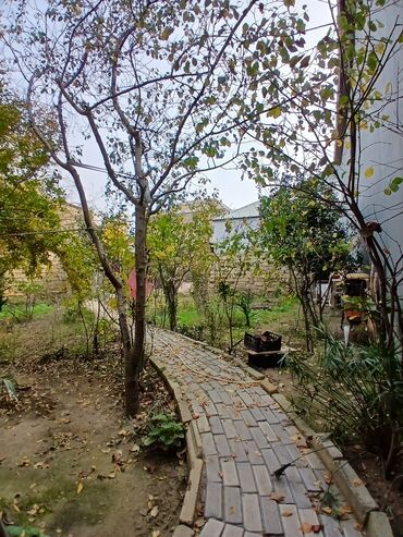 Həyət evləri və villaların satışı: Salam həyət evi satılır 15 ilin evidir cütdaş tikili bünövrə dəniz -da lalafo.az — 7 Həyət evləri və villaların satışı: Salam həyət evi satılır 15 ilin evidir cütdaş tikili bünövrə dəniz — 7