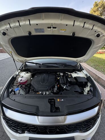 Kia: Kia Sportage: 2021 г., 2 л, Автомат, Дизель, Кроссовер — 13