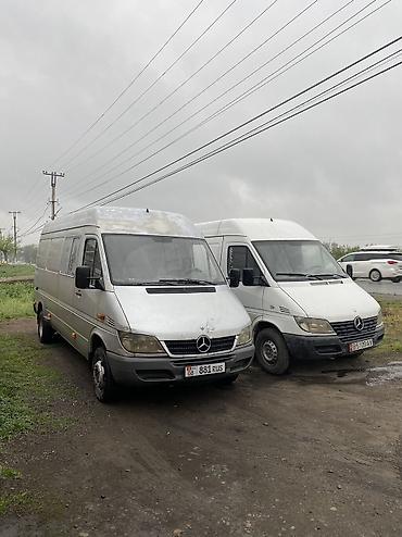все для сада бишкек: Доставка по Бишкеку по областям регионам — 1