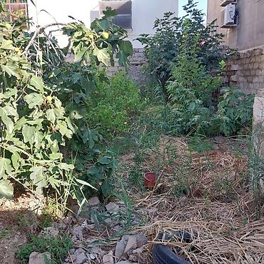 bakıda: 36 sot, Tikinti, Makler, Kupça (Çıxarış) — 3