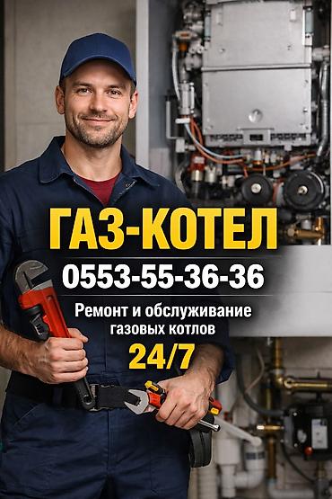 Котлы: Котел Газовый, Двухконтурный — 24