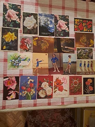 Пальто: Пальто, Классика, Кашемир, L — 7