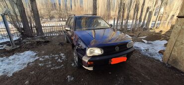 афто антиквариант: Volkswagen Golf: 1992 г., 1.8 л, Механика, Бензин, Универсал