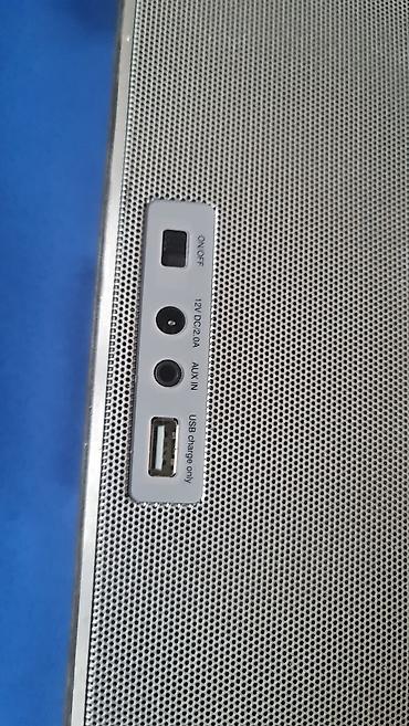 Zvučnici, slušalice i mikrofoni: Loewe Speaker 2go – prenosni Bluetooth zvučnik sa punjačem - Premium — 13