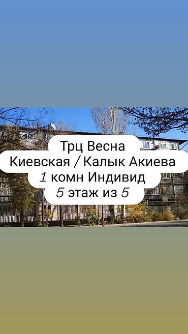 1 комната, 45 м², Филармония Индивидуалка, 5 этаж, Косметический ремонт
