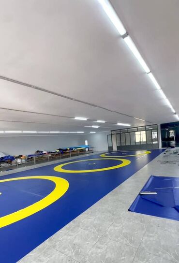 Другие тренажеры: Профессиональные спортивные маты для единоборств Назначение: - борьба — 24