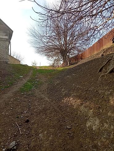 Torpaq sahələrinin satışı: 38 sot, Kənd təsərrüfatı, Mülkiyyətçi, Kupça (Çıxarış) — 2