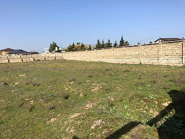 qala ev: 21 sot, Tikinti, Kupça (Çıxarış) — 5