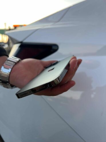 Apple iPhone: IPhone 13 Pro Max, Б/у, 128 ГБ, Чехол — 11