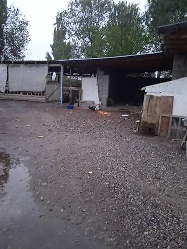 Дома: Продаётся частный дом с большим земельным участком и хозяйственными — 3
