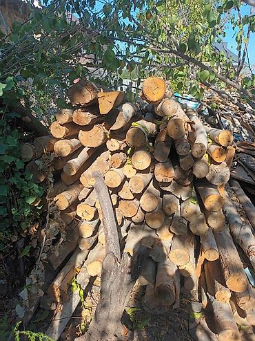 теплый линолеум цена: Дрова/брёвна для отопления и хозяйственных работ 2 метров 250 сом за — 2
