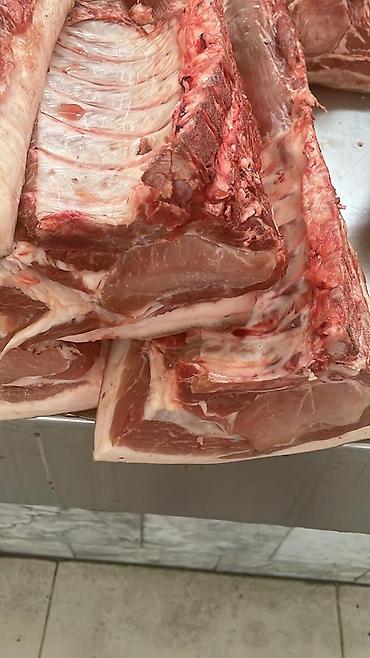 кишки: 猪肉 订购 Доброго времени Продаю мясо свинины-тушами пол туши. Кусками — 8