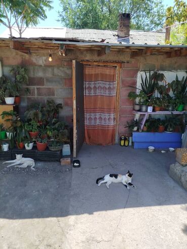 Продажа квартир: 2 комнаты, 60 м², 1 этаж at lalafo.kg — 9 Продажа квартир: 2 комнаты, 60 м², 1 этаж — 9