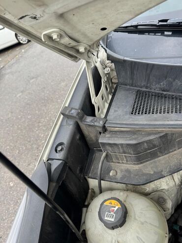 Kia: Kia Sportage: 2019 г., Кроссовер — 20