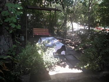 Günlük kirayə mənzillər: 5 otaqlı -da lalafo.az — 16 Günlük kirayə mənzillər: 5 otaqlı — 16