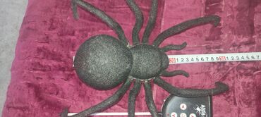 паук игрушка: Игрушка Паук с пультом.на радиоуправлении . прошу 1500 есть небольшой
