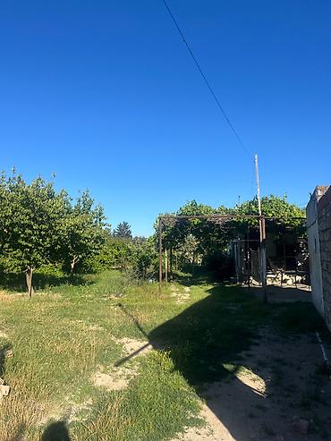 Həyət evləri və villalar: 15 kv. m, 1 otaqlı, Qaz, Telefon, İnternet — 5