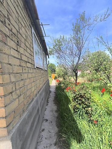 Продажа дачи: 🏡 ДАЧА САТЫЛАТ — ШААРГА 25 КМ! 💰 Баасы: 40 000$ 📐 Жер аянты: 4,5 сотых — 11