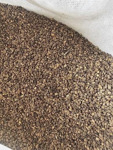 Корма для с/х животных: Силос, буудай, беде спарцет арпа урук та бар сатылат. Сапаты жакшы — 8