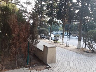 Restoran, kafelər: Sumqayıt şəhəri Nəsimi Parkında Meşəlik ərazidə yerləşən, açıq — 9