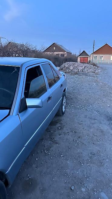 Mercedes-Benz: Mercedes-Benz W124: 1992 г., 2.9 л, Ручные, Дизель, Седан — 6