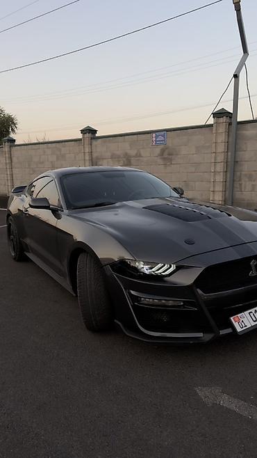 машина 200: Ford Mustang: 2020 г., 2.3 л, Автомат, Купе — 3