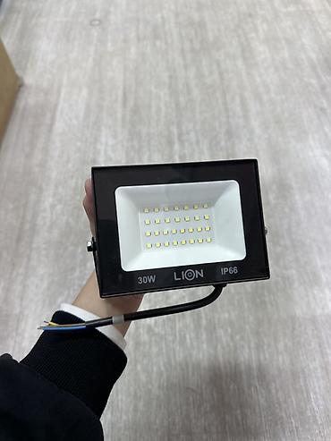 Прожекторы: Светодиодный прожектор LION 30W, IP66 - Мощность: 30 Вт - Класс — 2
