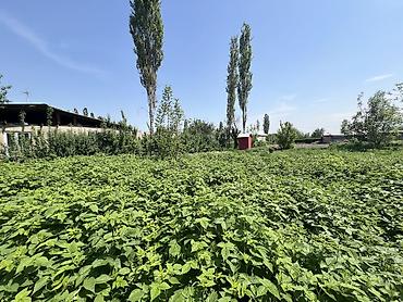 Продажа коттеджей и домов: Дом с кадастровым планом - Площадь по документам: 15 200 кв - Форма — 6